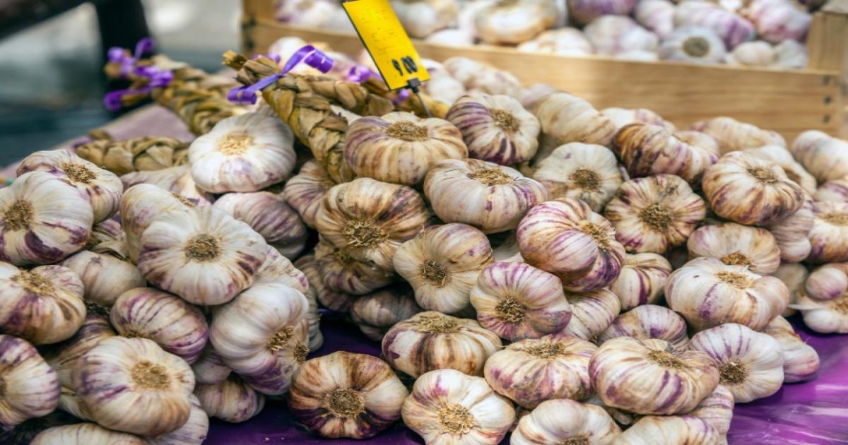 Garlic Prices in Delhi